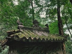 -青城山