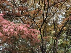 -南翔镇银翔湖公园
