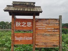 -北川巴拿恰