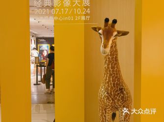 国家地理经典影像大展——看见星辰大海