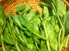 -季季山·云南野生菌火锅(上海首店)