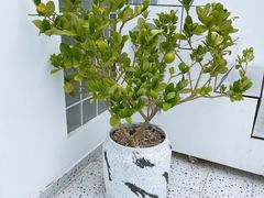 -加餐海鲜自助(集美银泰百货店)