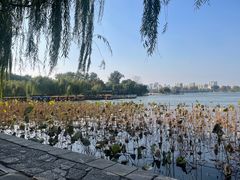-济南大明湖景区