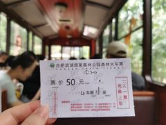 -合肥滨湖国家森林公园