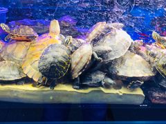 -三旗百汇商品城