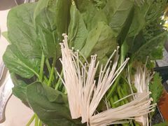 -哥老官重庆美蛙鱼头(五角场合生汇店)