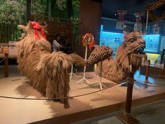 -广西壮族自治区博物馆