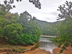-广州市石门国家森林公园