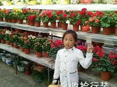 -北戴河集发农业梦想王国