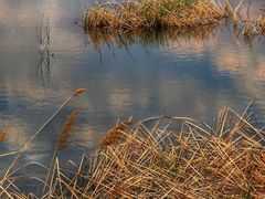 -野鸭湖国家湿地公园