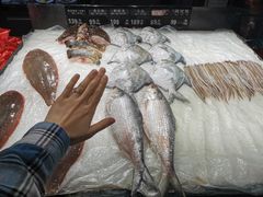 -紫阳海鲜楼·传承闽味(长乐路总店)
