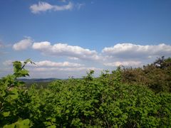 android_upload_pic-高尔山公园