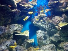 -福州罗源湾海洋世界旅游区