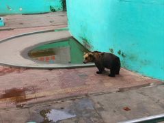 -西霞口神雕山野生动物世界