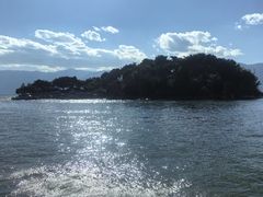 -野菌皇海景野生菌火锅(滨海大道店)