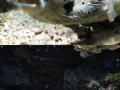 -杭州海底世界