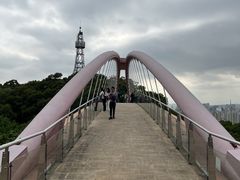-金鸡山公园