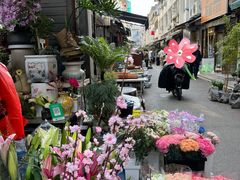 -苏州市皮市街花鸟工艺品市场