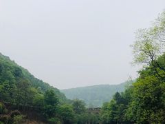 -桃花岭景区