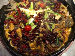 老板恋上鱼-老板恋上鱼(恒隆广场店)