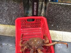 -蚝专家(北滘店)