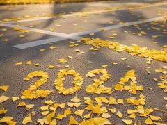 -半天妖烤鱼(丰科万达店)