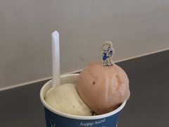 -海比甜店·意式手工冰激淋happy habit gelato