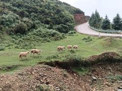 -乌蒙大草原