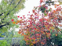 -成都杜甫草堂博物馆