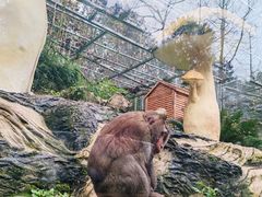 -黔灵山公园