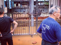 -武汉关码头(轮渡站)