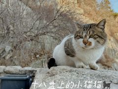 -泰山风景名胜区