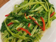 -辉记潮汕海鲜砂锅粥(林和西店)
