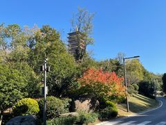 -牛首山文化旅游区