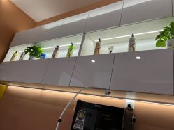 -希梵尔头皮抗衰·科技养发