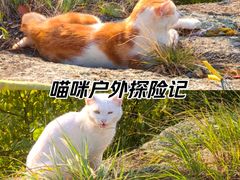 -华山风景名胜区