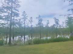 -上海长兴岛郊野公园