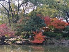-汇龙潭