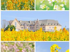 -中国天府农业博览园