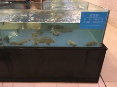 -都市阳光海鲜城(青山湖店)