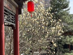 -碑林公园