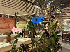 -桂满陇·海市蜃楼·黑金(国金店)