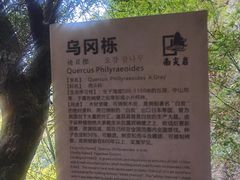 -南尖岩景区