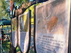-北京麋鹿生态实验中心