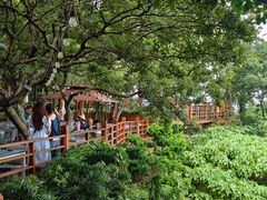 -美人鱼悬崖海景餐厅(鹿嘴山庄店)