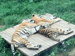 -大连森林动物园