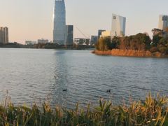 -桐乡凤凰湖