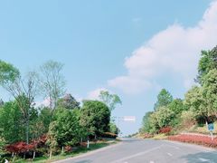 -铁山坪森林公园