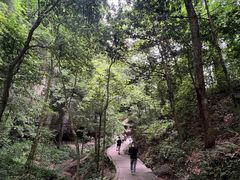 -青城山