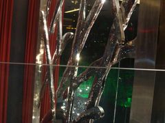 DSC01324-唐廊烤鸭店(工体店)